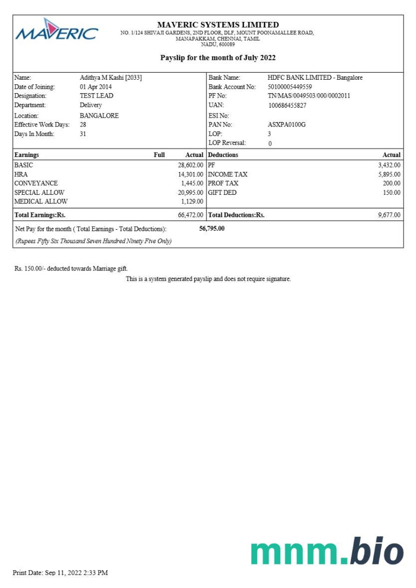 Szablon payslip firmy Maveric Systems engineering w formatach Word i PDF